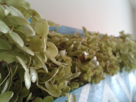 how to preserve hydrangeas