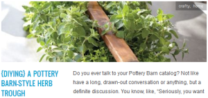 LINK {diying} a pottery barn style herb trough