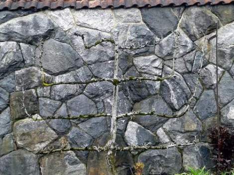 what walking with Jesus doesn't look like 01