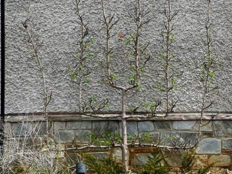 what walking with Jesus doesn't look like 03