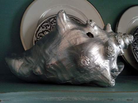 06 painted shell  in cabinet'