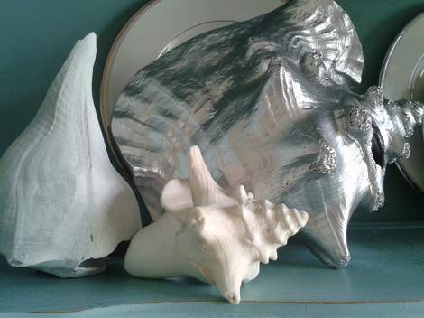 07 painted shell  in cabinet with friends