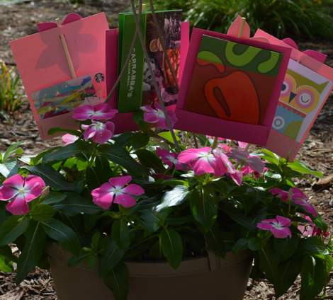 flowering gift extra blooms 02