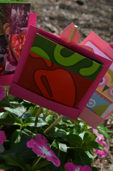 flowering gift extra blooms 03