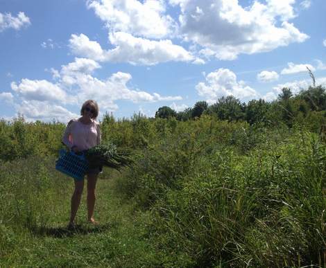 pinterest party weed arrangement tablescape 01